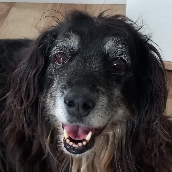 Profile Picture of Julian